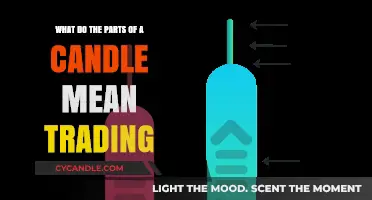 Understanding Candle Anatomy: Decoding Trading Signals in Price Action Charts