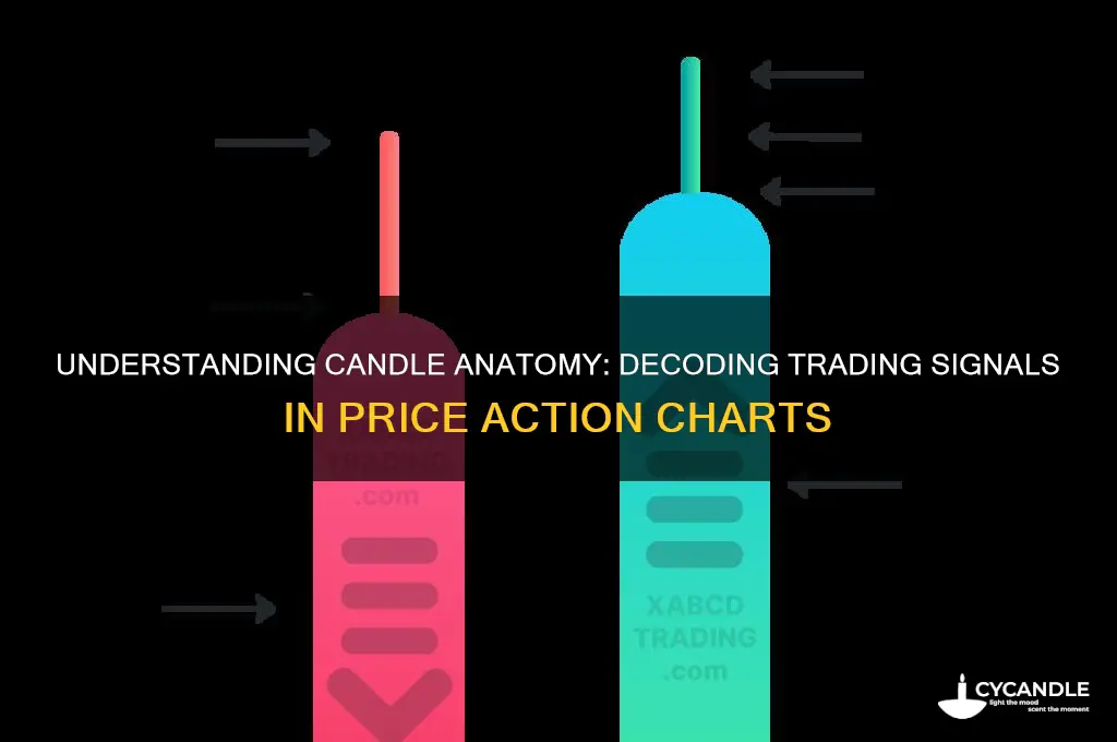 what do the parts of a candle mean trading