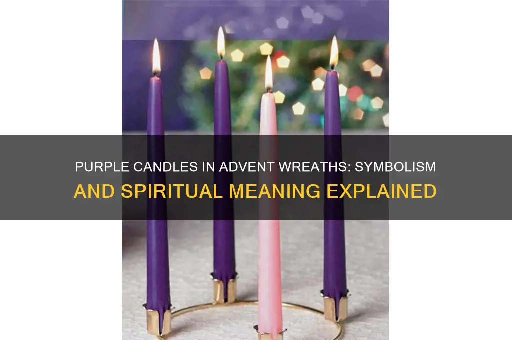 what do the purple candles on the advent wreath represent