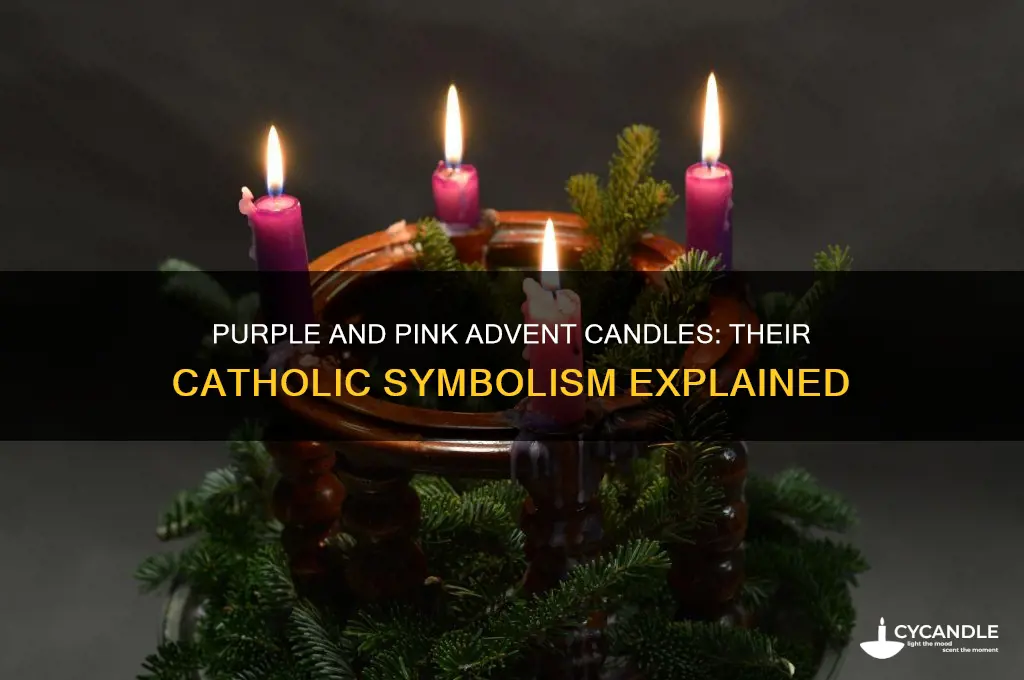 what do the purple pink candles mean advent catholic