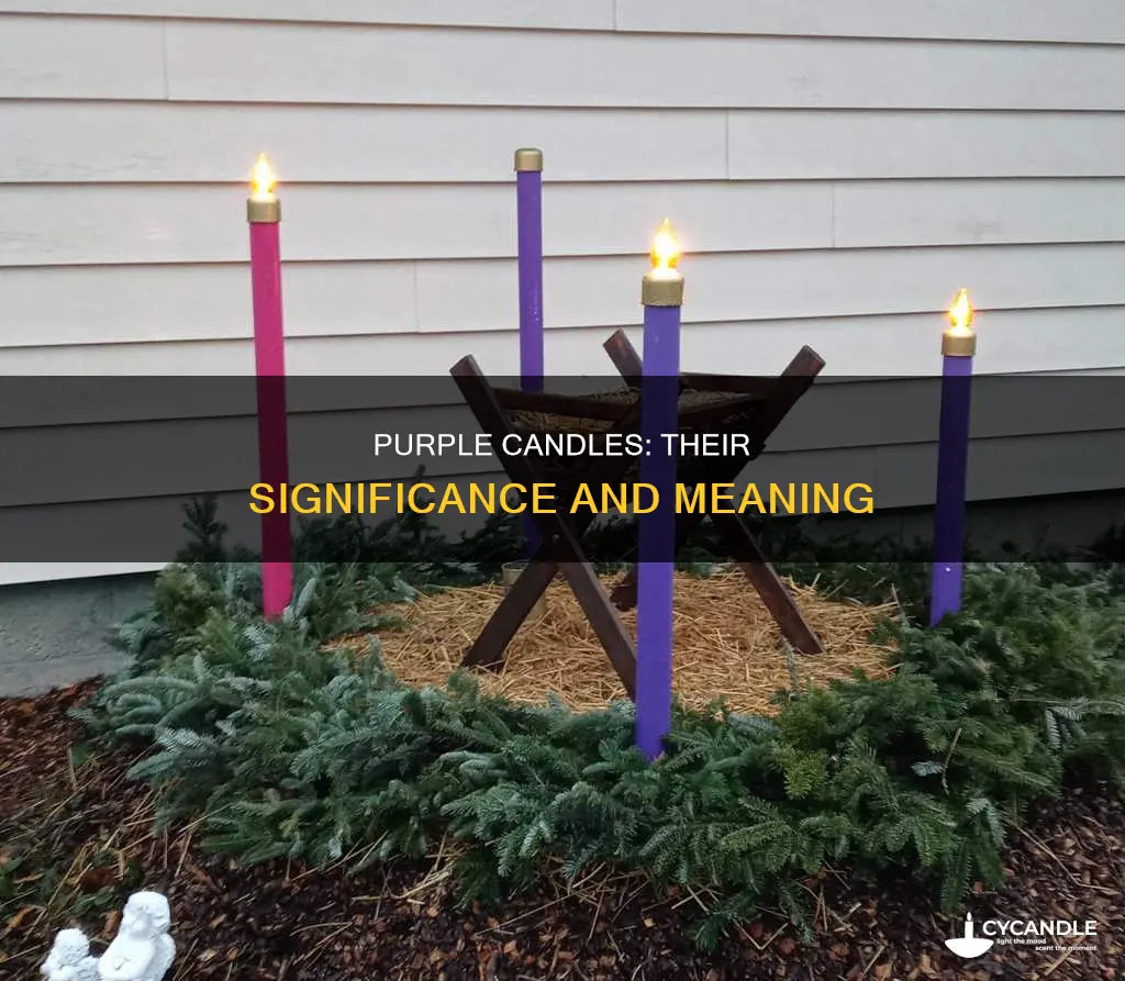 what do the three purple candles represent