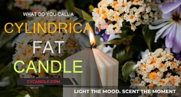 The Intriguing World of Cylindrical Candles: What's in a Name?