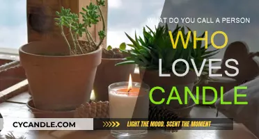 Candle Connoisseurs: The Art of Loving Candles