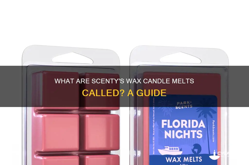 what do you call scenty