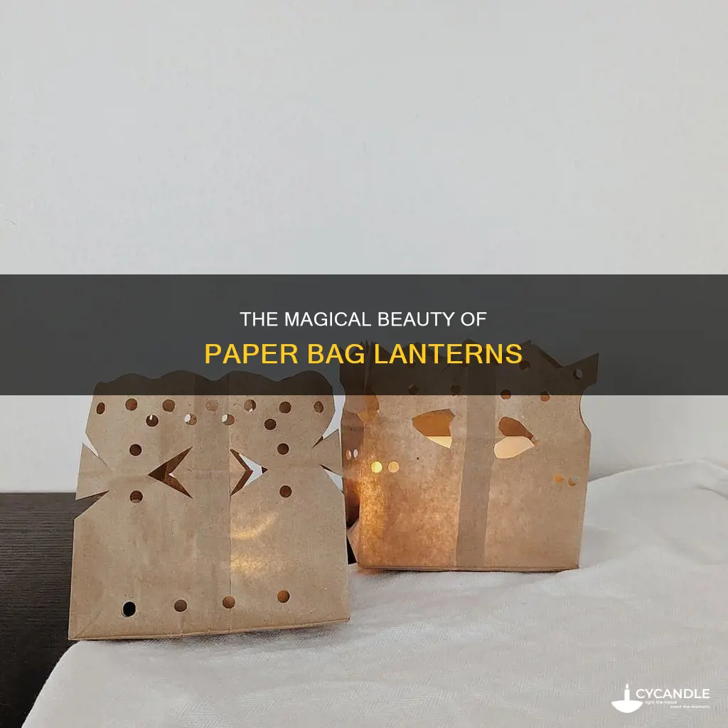 what do you call the candles in the paper bags