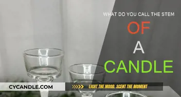 The Intriguing Truth About Candle Wicks Unveiled