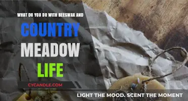Harvesting Beeswax: Creative Uses in Country Meadow Living