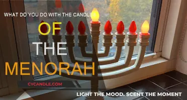 The Hanukkah Menorah: Lighting and Traditions Explained