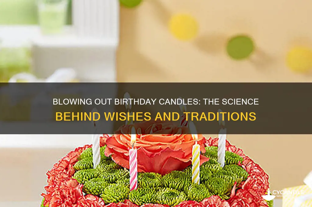 what do you make when you blow out birthday candles