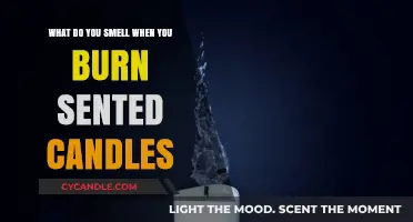 Unveiling Aromas: What Scented Candles Release When Burned