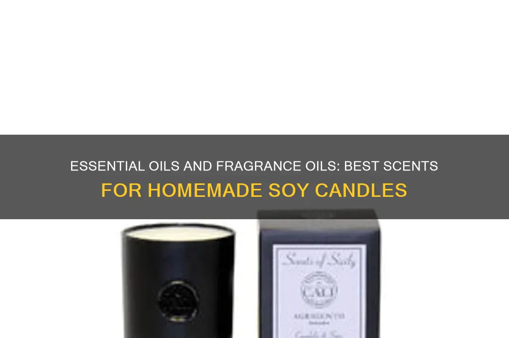 what do you use to scent home make soy candles