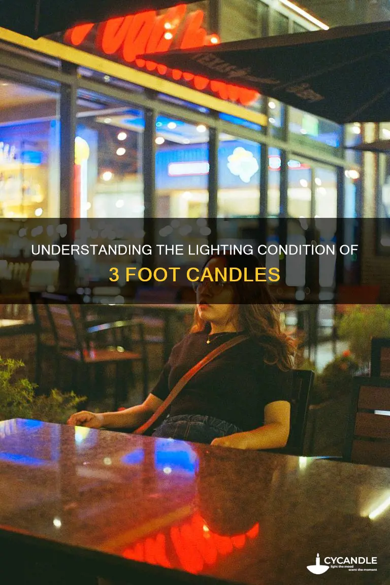 what does 3 foot candles look like