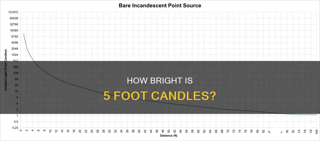 what does 5 foot candles look like