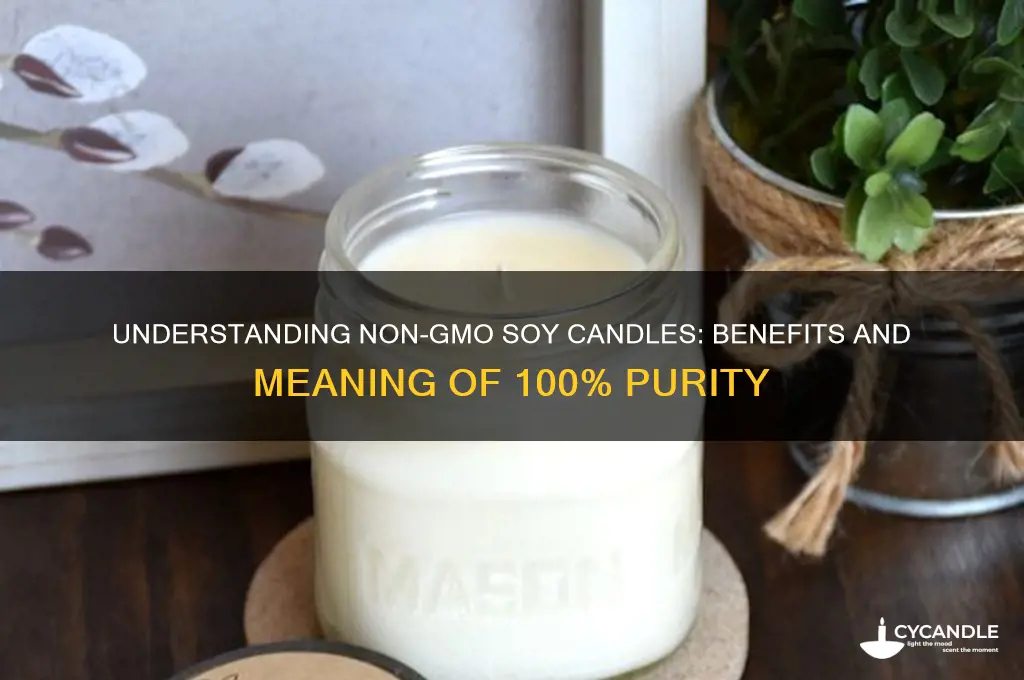 what does a 100 non-gmo soy candle mean