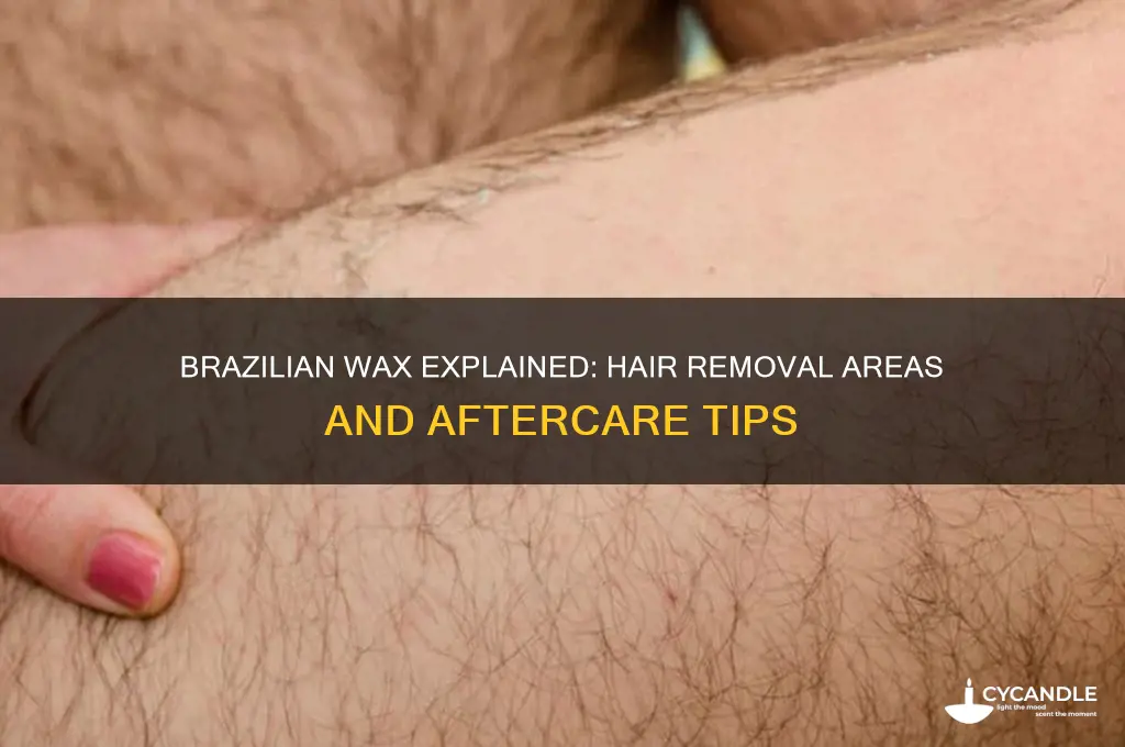 what does a brazilian wax remove
