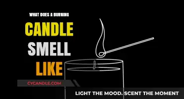 The Aromatic Allure: Unveiling the Scent of a Burning Candle