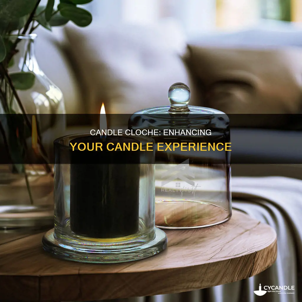 what does a candle cloche do
