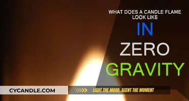 How Candles Burn in Space: Flame Science