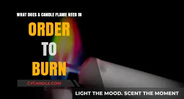 Essential Elements for a Candle Flame to Burn Brightly
