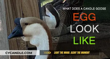 Goose Egg Candles: A Unique, Natural Beauty