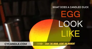Candling Duck Eggs: What Do You See?