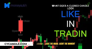 Candlestick Trading: Recognizing the Closed Candle Patterns