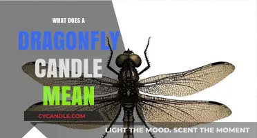 Unveiling the Mystical Meaning Behind Dragonfly Candles: Symbolism Explained
