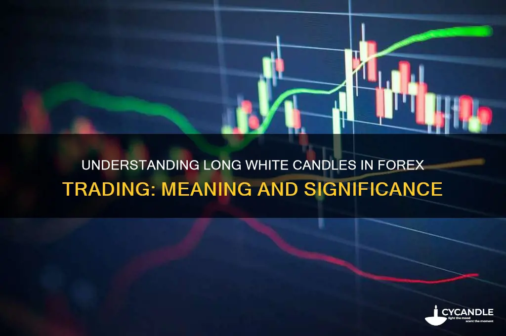 what does a long white candle mean in forex