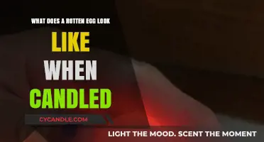 How Rotten Eggs Look When Candled
