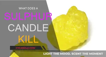 Sulphur Candles: Killing Pests, Saving Crops
