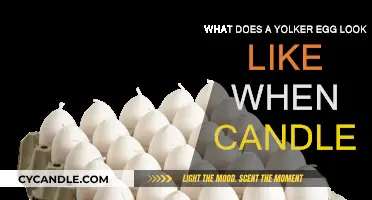 How Yolkers Look Under a Light
