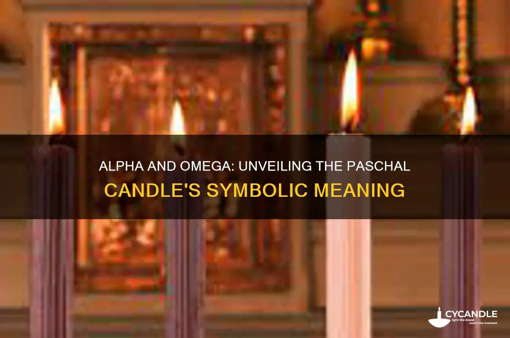 what does alpha and omega mean on the paschal candle