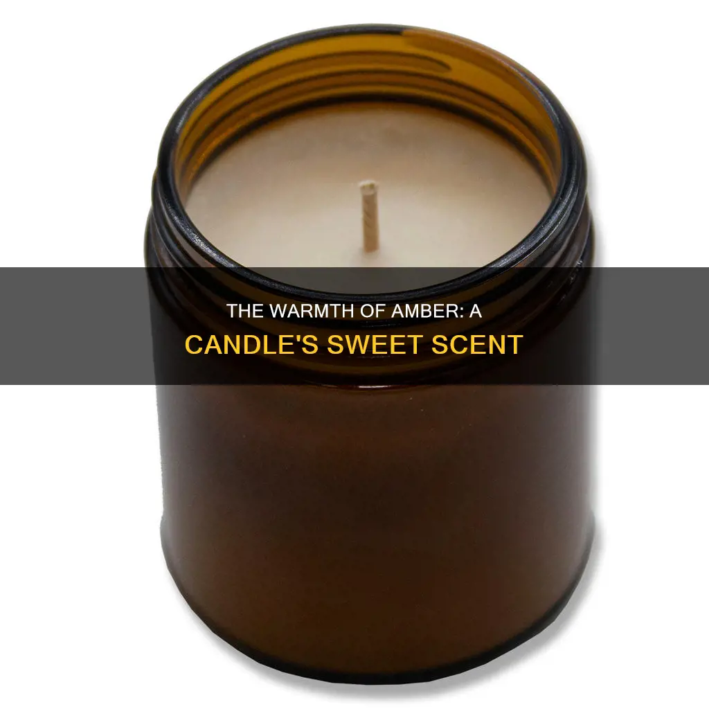what does amber candle smell like