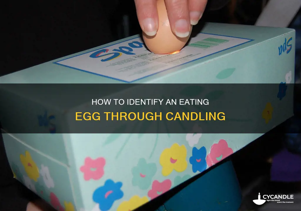 what does an eating egg look like when candling