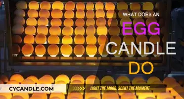 How Egg Candlers Help Hatch Healthy Chicks