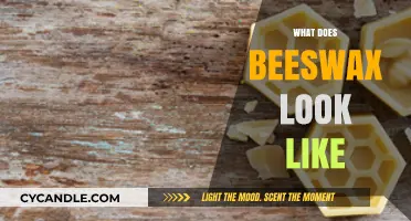 Unveiling Beeswax: Appearance, Texture, and Natural Beauty Explained