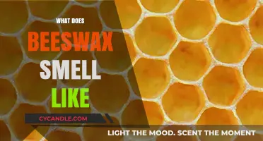 Unveiling the Unique, Sweet, Earthy Aroma of Beeswax