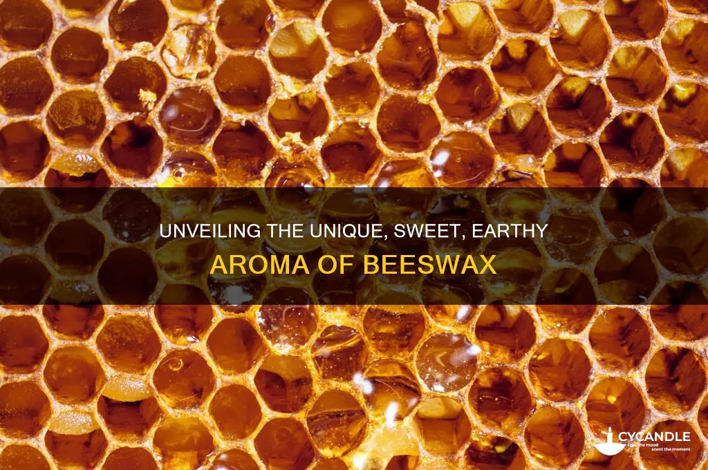 what does beeswax smell like