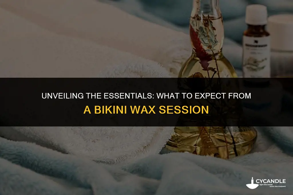 what does bikini wax include