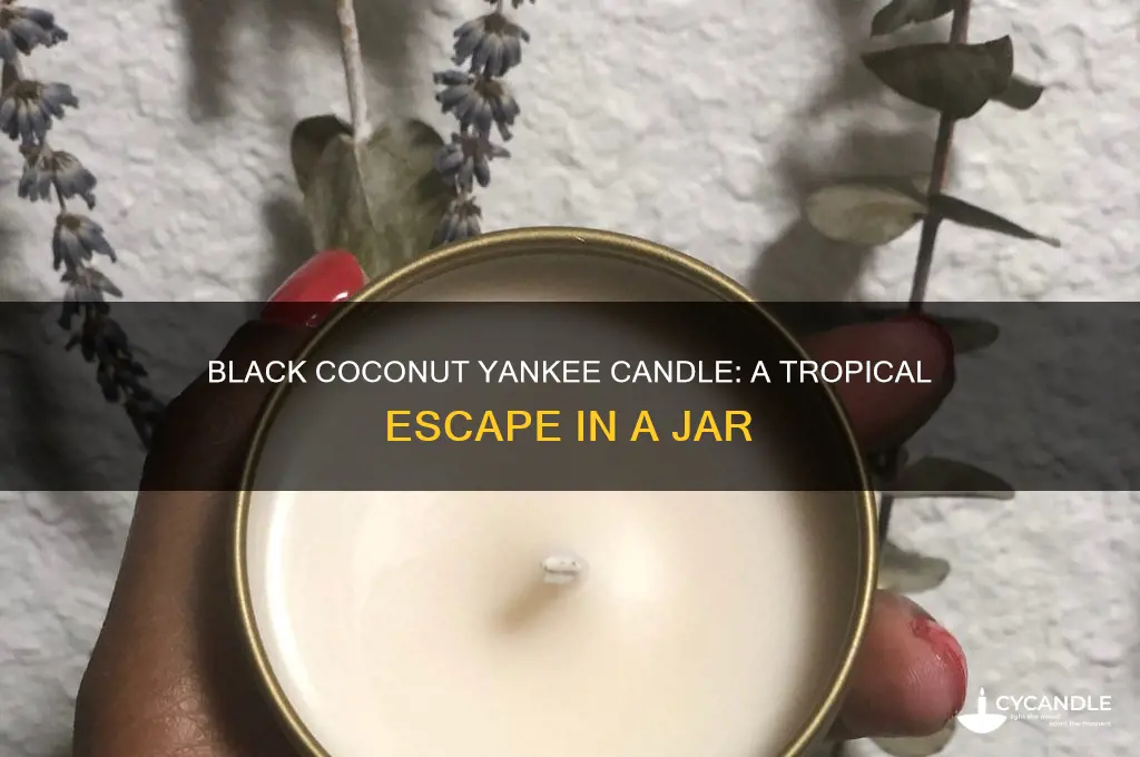 what does black coconut yankee candle smell like