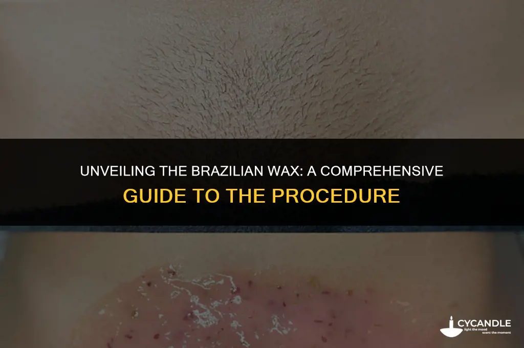 what does brazilian wax include