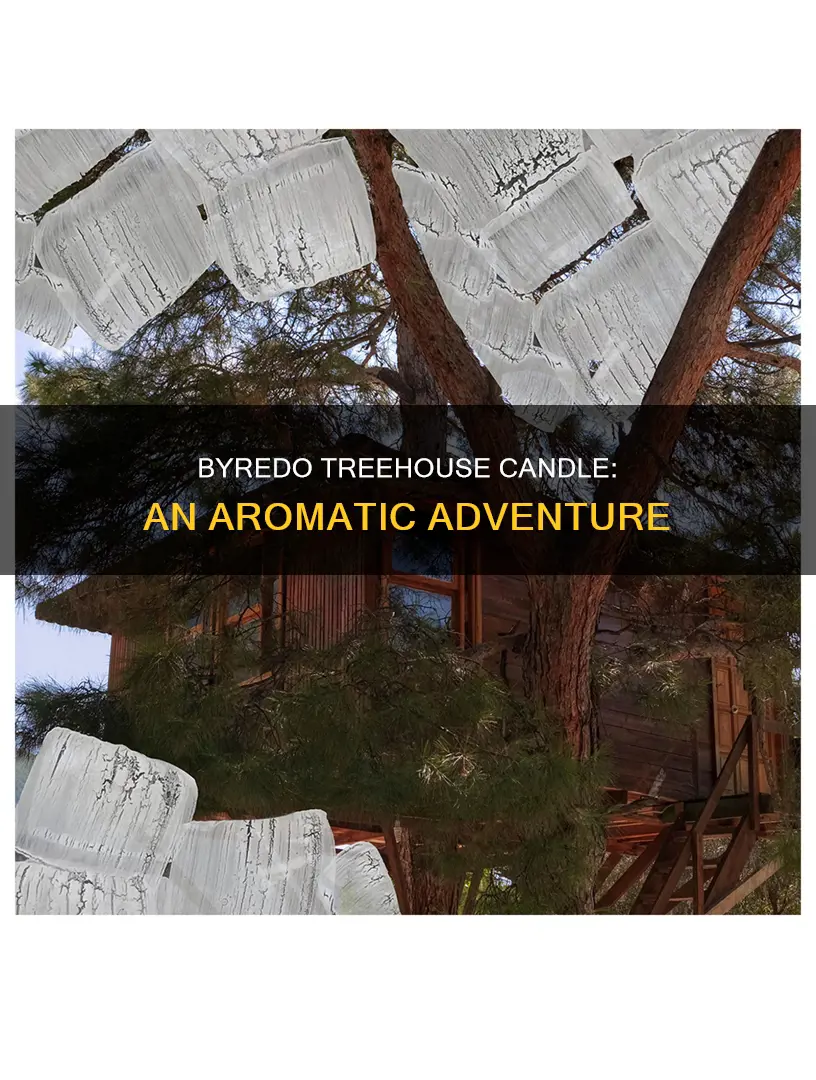 what does byredo treehouse candle smell like
