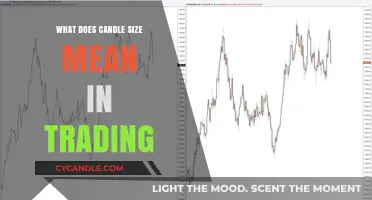 Understanding Candle Size: A Key Indicator in Trading Analysis