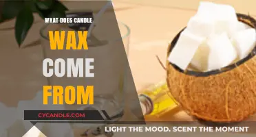 Unveiling the Origins: What Natural Sources Create Candle Wax?