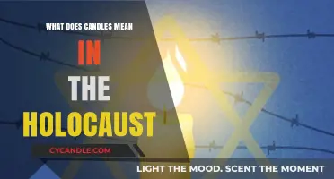 Candles of Remembrance: Symbolism in Holocaust Memorials Explained