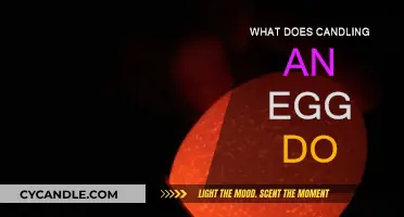 Candling Eggs: How and Why to Do It