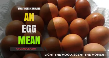 Understanding Candling: A Simple Method to Check Egg Freshness