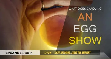 Candling Eggs: What Does the Light Show?