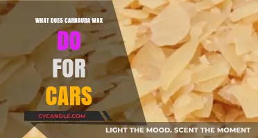 Unlocking the Secrets of Carnauba Wax: A Comprehensive Guide for Car Enthusiasts