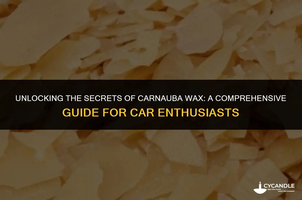what does carnauba wax do for cars